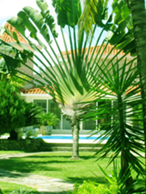 vacation rentals in puerto plata dominican republic